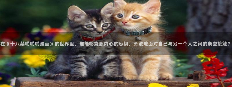 韩漫免费观看下拉式漫画网站推荐：在《十八禁啪啪啪漫画》的世界里，谁能够克服内心的恐惧，勇敢地面对自己与另一个人之间的亲密接触？