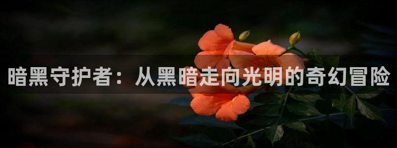 日韩漫画导航：暗黑守护者：从黑暗走向光明的奇幻冒险
