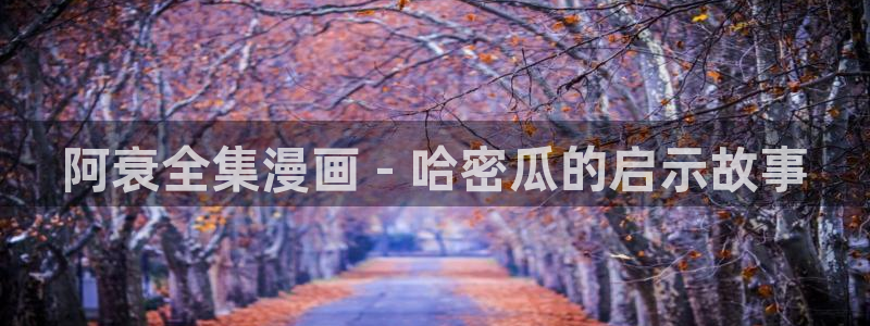 家庭教师漫画韩漫：阿衰全集漫画 - 哈密瓜的启示故事