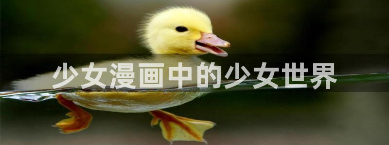 无遮羞韩漫在线观看：少女漫画中的少女世界