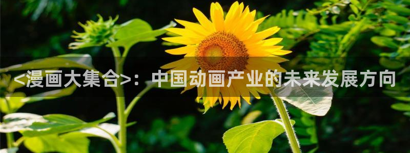 季节之交韩漫原著漫画免费观看：<漫画大集合>：中国动画产业的未来发展方向