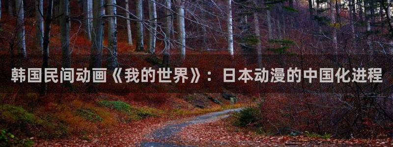呜呜韩漫歪歪漫画：韩国民间动画《我的世界》：日本动漫的中国化进程